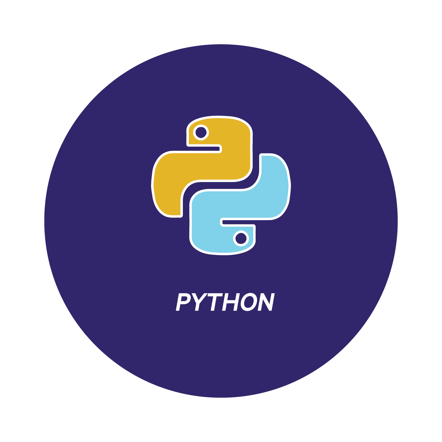 icon_python (1)