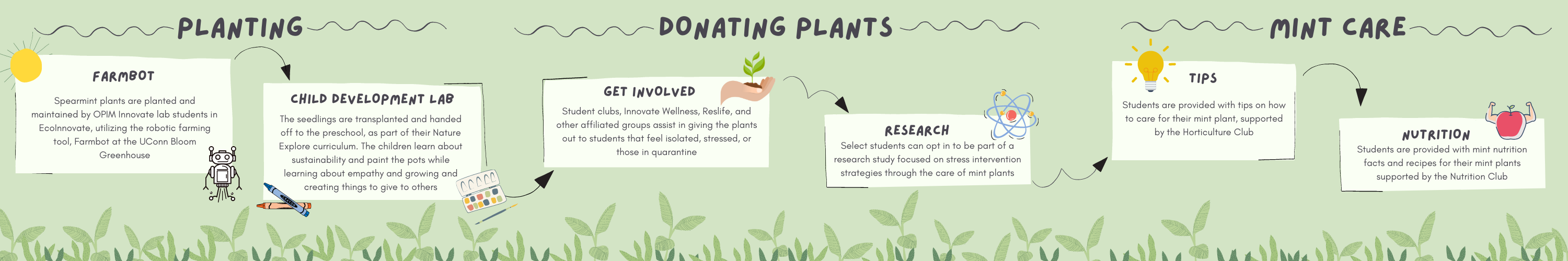 Planting, Donating Plants, Mint Care